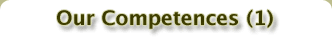 Our Competences (1)