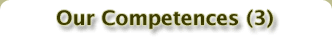 Our competences (3)