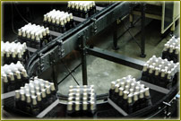 Conveyor belt for bottles